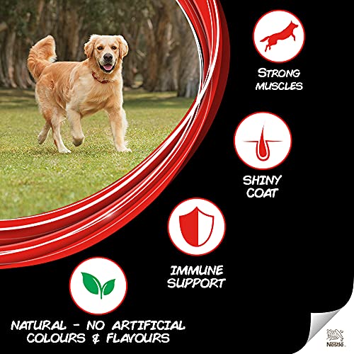 PURINA Supercoart Adult Dry Dog Food