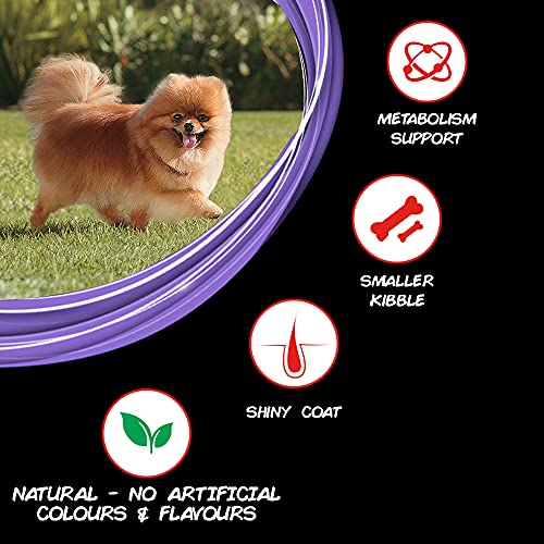 PURINA Supercoat Adult Small Breed Dry Dog Food