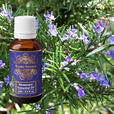 Exotic Aromas Rosemary Oil, Pack of 2