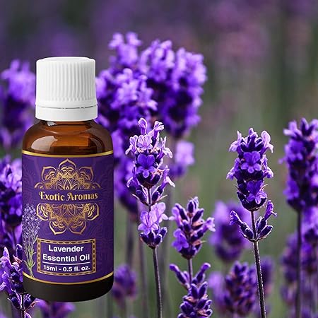 Exotic Aromas Lavender Essential Oil for Aroma Therapy, Stress Relief, Hair, Skin & Sleep, Pack of 2
