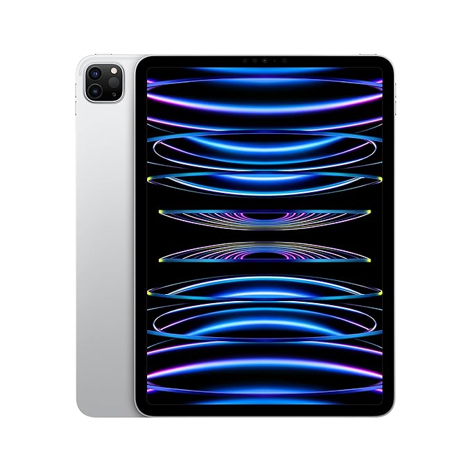 Apple Ipad Pro 4th Gen (11 inches, WiFi)
