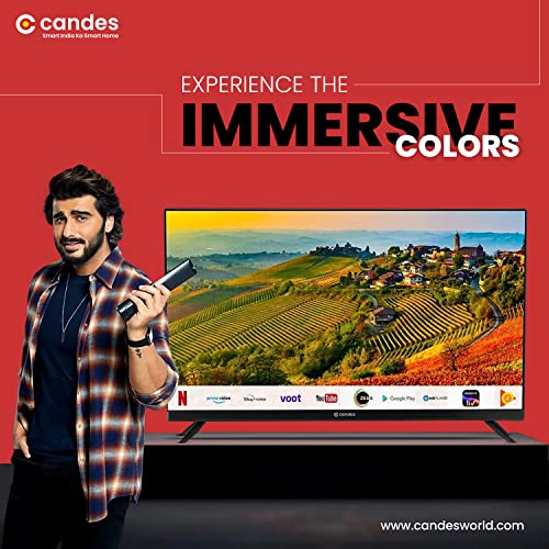 Candes  24 Inches HD Ready LED TV