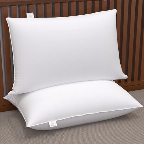 MY ARMOR Microfiber Pillows Set 2, Soft - 16 x 24 Inches -White